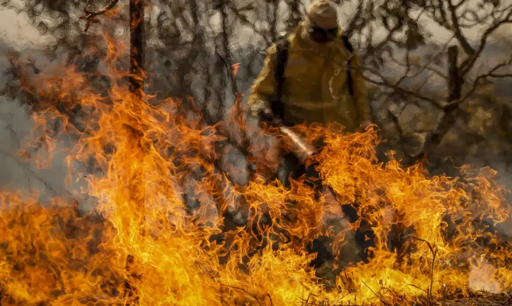 Estiagem e incêndios